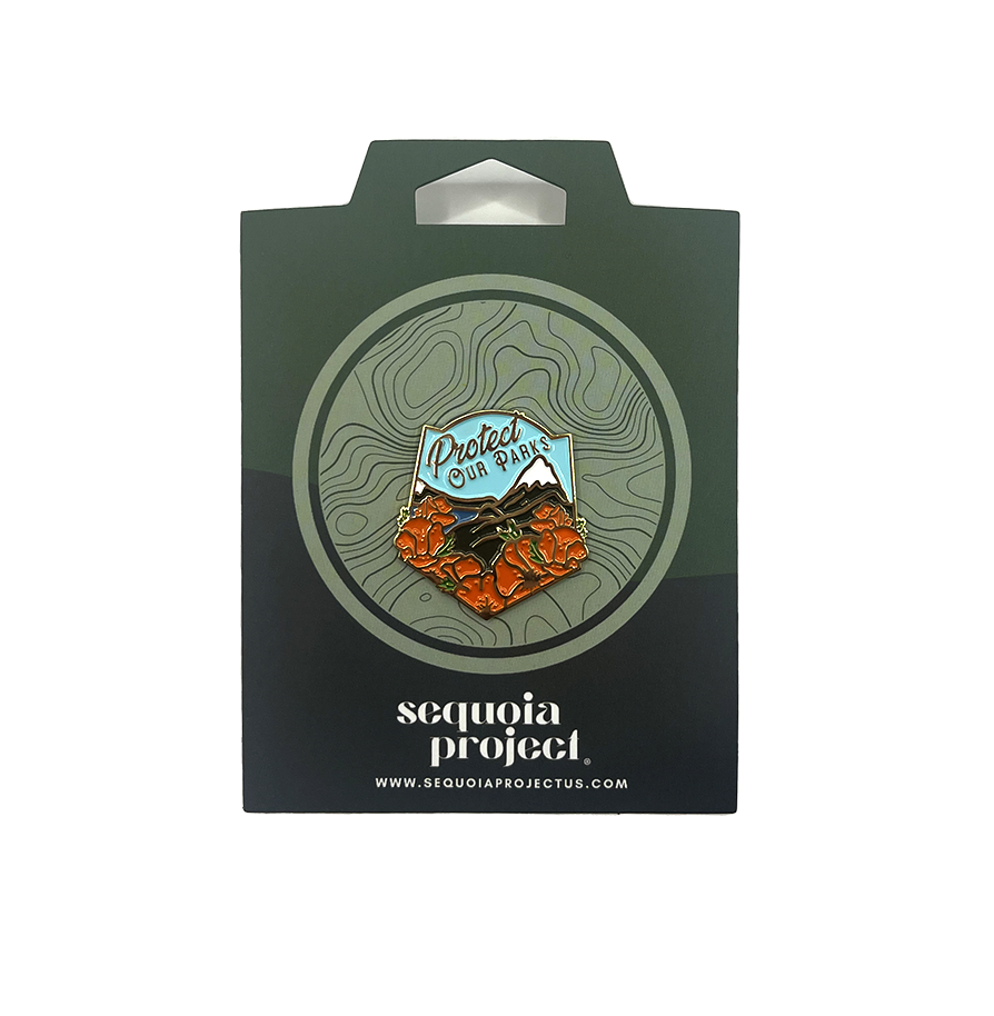 Pin "Protejamos nuestros parques"