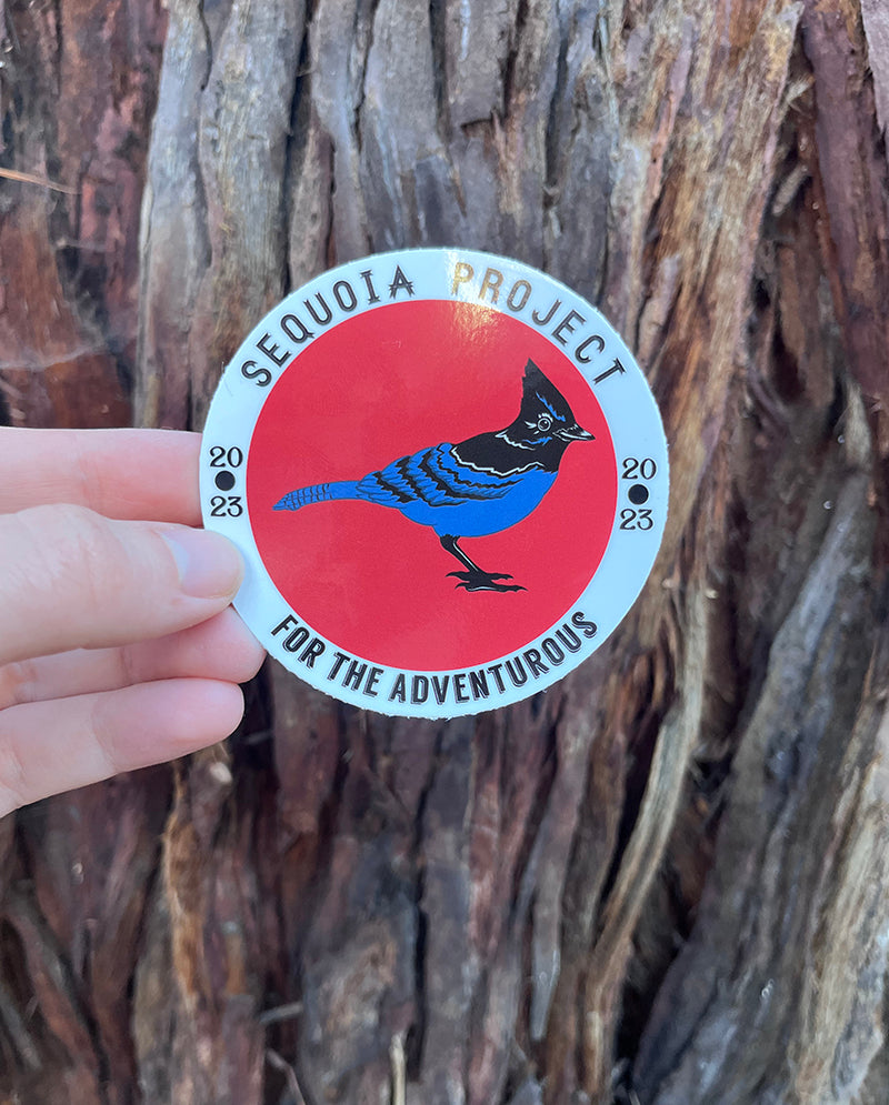 Steller's Jay Sticker