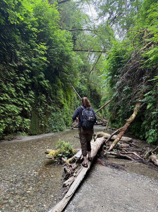 Walking Among Giants: Redwood National Park