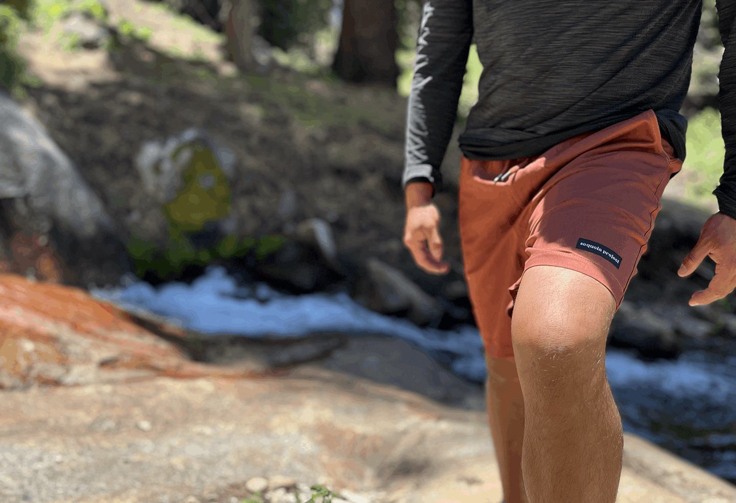 Tokopah Shorts