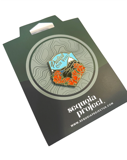 Protect Our Parks Pin